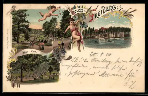 Lithographie Freiberg i. S., Albert-Park, Kreuzteich, Schwanenschlösschen