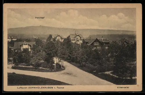 AK Dornholzhausen i. Taunus, Villenviertel, Blick zum Herzkopf