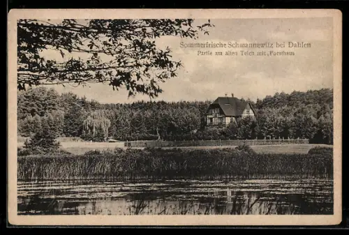 AK Schmannewitz bei Dahlen, Partie am alten Teich mit Forsthaus