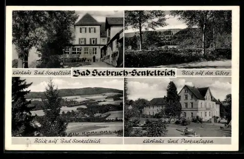 AK Bad Seebruch-Senkelteich, Kurhaus Bad Senkelteich und Parkanlagen, Eiberg, Blick auf Bad Senkelteich