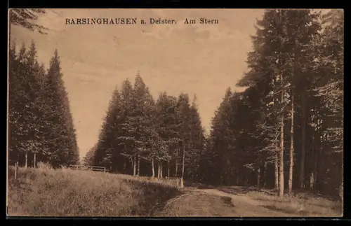AK Barsinghausen a. Deister, Am Stern