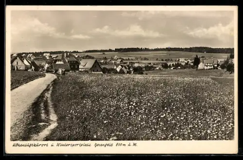 AK Besenfeld, Teilansicht mit Feldweg