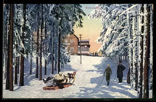 AK Feldberg i. T., Winter-Idylle mit Schlittenfahrern