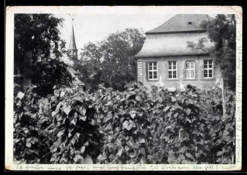 AK Ilbenstadt /Oberhessen, Caritaswerk St. Gottfried, früher Prämonstratenser-Kloster, Weinberg, Kirche