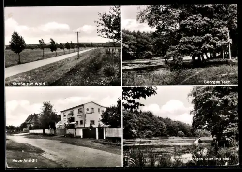 AK Echzell /Oberhessen, Strasse zum Wald, Georgen Teich, Haus-Ansicht, Georgen Teich mit Boot
