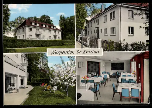 AK Bad Salzhausen, Kurpension Dr. Enzian, Inh. E. Kraiss, Garten, Speisesaal