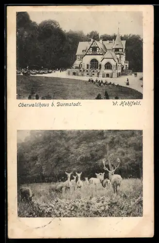 AK Darmstadt, Oberwaldhaus, Wildgehege