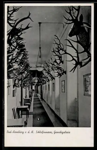 AK Bad Homburg v. d. H., Schlossinnenes, Geweihgalerie