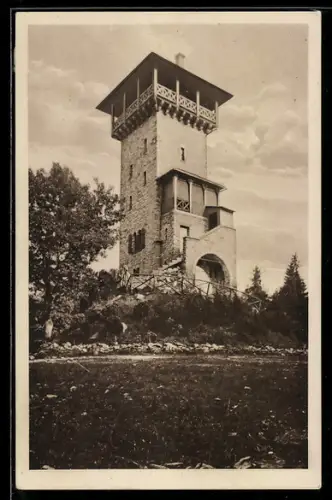 AK Herzberg /Taunus, Herzbergturm, Café u. Restaurant, Inh. H. Nahm