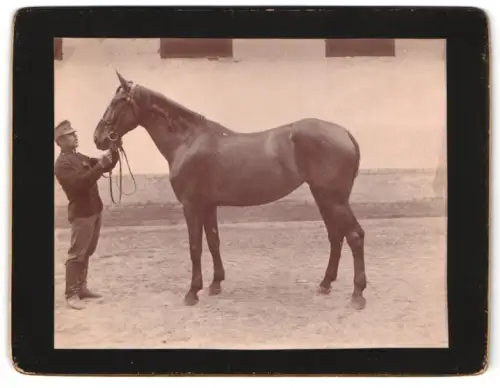 Fotografie unbekannter Fotograf und Ort, K. u. K. Soldat mit Pferd