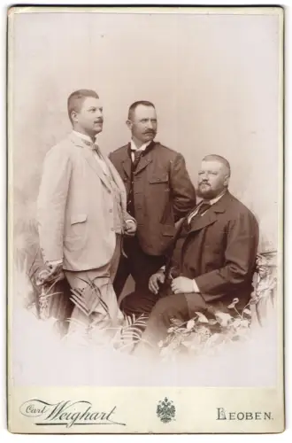 Fotografie Carl Weighart, Leoben, Stadt, Fischerg. 92, Vorstands-Mitglieder d. Spar- u. Vorschusscassa Oberzeiring 1897
