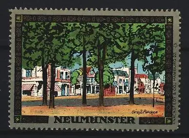 Reklamemarke Neumünster, Ortsansicht, Partie in Gross-Flecken