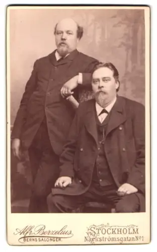 Fotografie Alf. Berzelius, Stockholm, Näckströmsgatan 1, Axel Hauström mit seinem Bruder