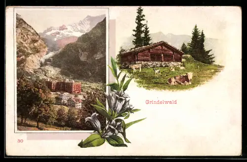 AK Grindelwald, Ortsansicht und Alp mit Kühen