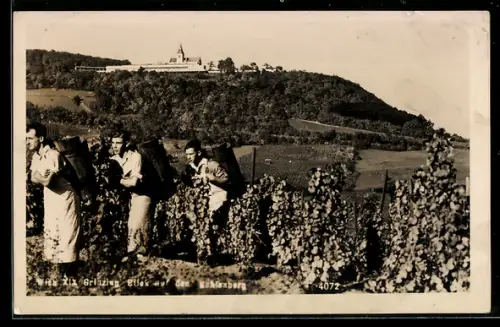 AK Wien, Grinzing, Blick auf den Kahlenberg