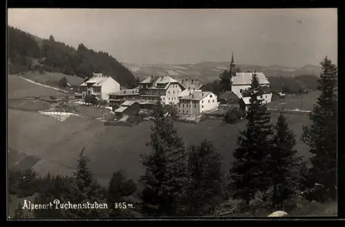 AK Puchenstuben, Ortsansicht mit Hügeln