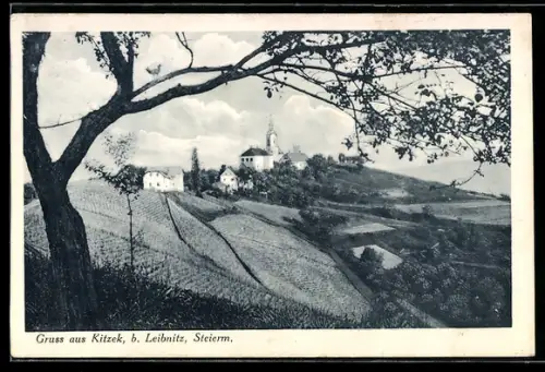 AK Kitzek b. Leibnitz, Durchblick zur Kirche