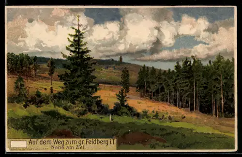 Künstler-AK Feldberg i. T., Auf dem Weg zum gr. Feldberg, Berg mit Turm, Landschaft