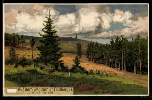 Künstler-AK Feldberg i. T., Auf dem Weg zum gr. Feldberg, Landschaft, Berg mit Turm