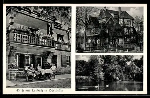AK Laubach /Oberhessen, Müttergenesungsheim Haus Friedensruh, Teich mit Schwänen