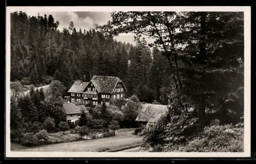 AK Hundsbach-Biberach, Ansicht vom Kurhaus im Wald, Bes. R. Herrmann Wtw.