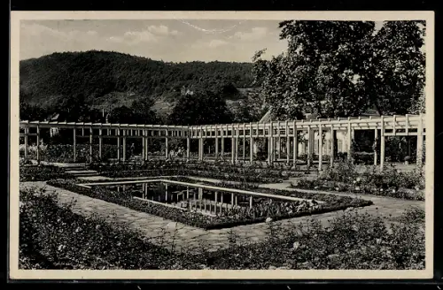 AK Bad Kreuznach, Rosarium mit Pergola und Wasserbecken