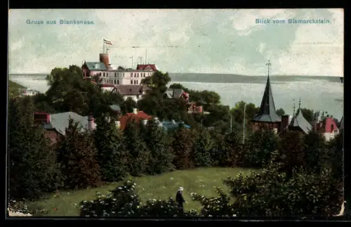 AK Hamburg-Blankenese, Blick vom Bismarckstein