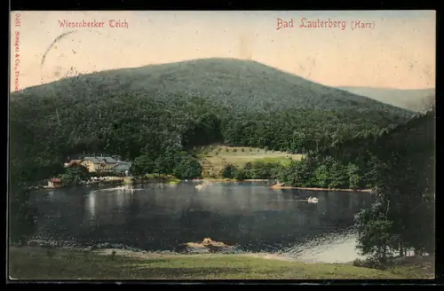 AK Bad Lauterberg /Harz, Gesamtansicht vom Wiesenbeeker Teich