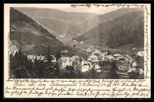AK Todtmoos, Panoramablick auf Ort und Gebirge