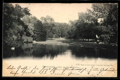 AK Darmstadt, Teich im Herrngarten