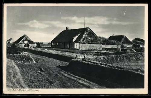 AK Husum, Blick auf Halebüll