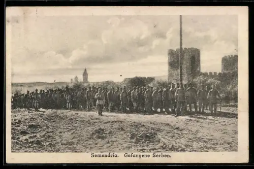AK Semendria, Gefangene Serben