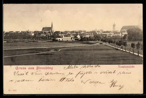 AK Straubing, Panorama