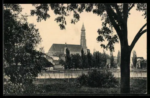 AK Straubing, Uferpartie mit Stiftskirche