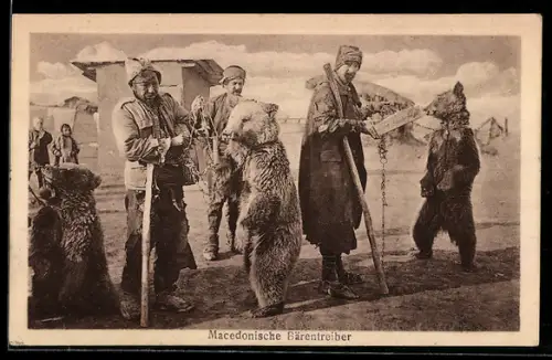AK Macedonische Bärentreiber, Tanzbären