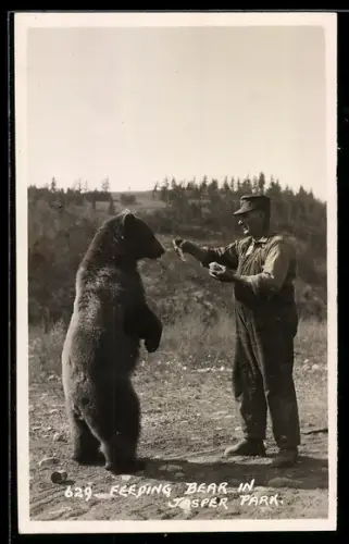 AK Feeding Bear in Jasper Park