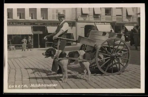 Foto-AK Luzern, Milchhändler mit Milchkarren und Hundegespann