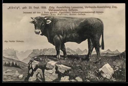 AK Lausanne, Eidgenössische Ausstellung, Verbands-Ausstellung Zug, Bulle König, Viehzucht