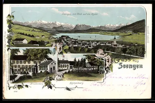 Lithographie Seengen, Brestenberg, Eichenberg, Blick auf die Alpen