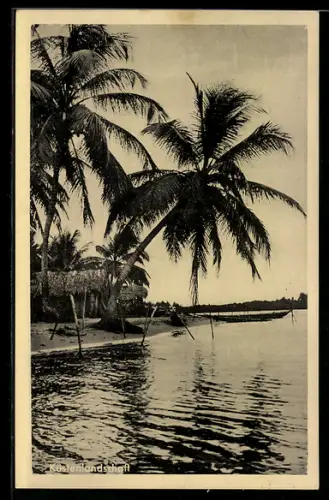 AK Deutsch-Südwestafrika, Küstenlandschaft unter Palmen
