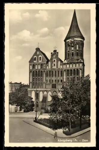 AK Königsberg, Dom im Sonnenschein