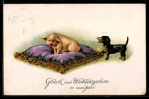 AK Dackel verbellt Schwein, das auf seinem Kissen sitzt, Neujahrsgruss