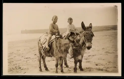Foto-AK Zwei kleine Jungen beim Eselreiten am Strand