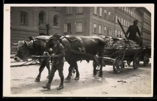 Foto-AK Ochsengespann beim Transport von Dachschindeln auf einer Strasse, mit kleinem Führer