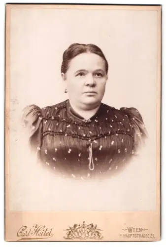 Fotografie Carl Kitel, Wien, Hauptstrasse 21, Stiefmutter von Ignatz Walleck im Porträt