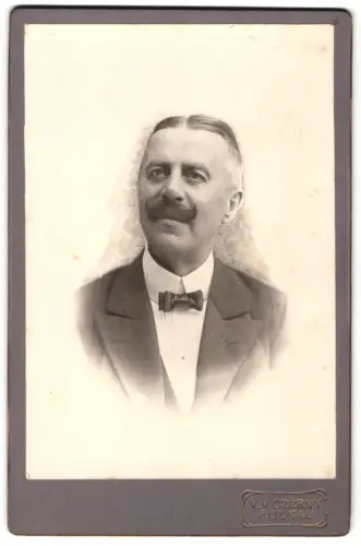 Fotografie V. v. Czerny, Pulkau, Herr Schopf in Anzug und Fliege