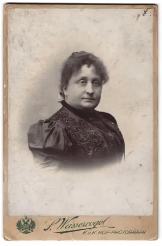 Fotografie S. Wasservogel, Bielitz, Tunnelstrasse 65, Porträt einer Dame in eleganter Kleidung