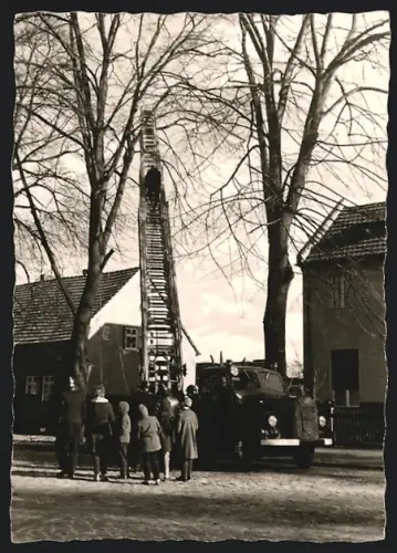 Fotografie unbekannter Fotograf, Ansicht Berlin, Feuerwehr-Leiterwagen Magirus-Deutz, Feuerwehrmann steigt Leiter empor