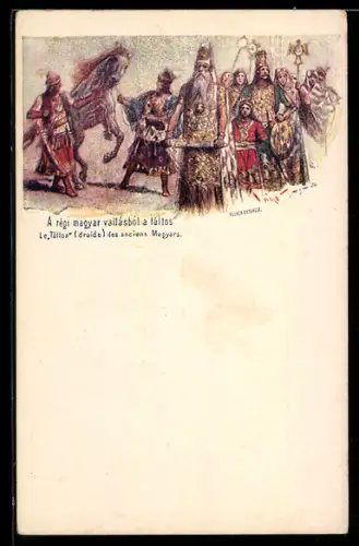 AK Le Tàltos, druide des anciens Magyars, Ganzsache