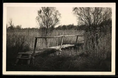 AK Städt. Lobau, Steg am Herzogshaufen